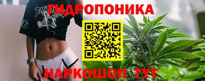 индика Чебаркуль